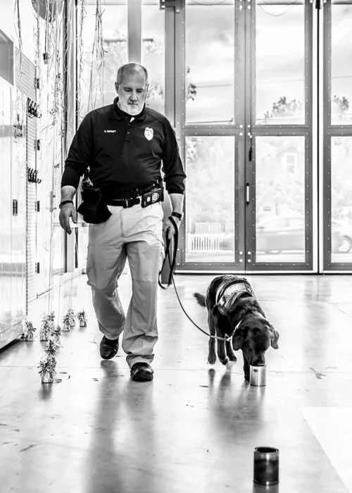 Arson Investigator Arson Investigator